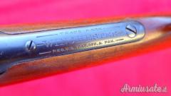 Winchester modello 1906 22lr