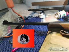 Zoli Antonio alpen .300 Winchester Magnum