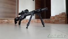 Ruger | Sturm Precision Rimfire  .22 Long Rifle