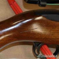 Carabina Ruger Carbine 10-22 Cal.22LR con Ottica
