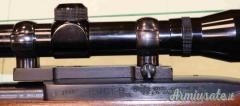Carabina Ruger Carbine 10-22 Cal.22LR con Ottica