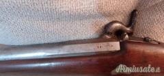 Moschetto Militare piemontese 1852 (armaiolo Camolli -Torino) e baionetta