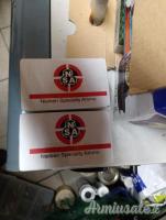 Pallini slug  cal 30 n. S. A