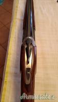 Franchi Alcione Lusso  12