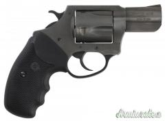 Charter Arms Pitbull 45ACP PROMO!