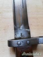 Baionetta Austriaca 1895
