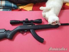 Ruger | Sturm 10\22 .22 Long Rifle