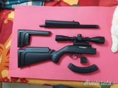 Ruger | Sturm 10\22 .22 Long Rifle
