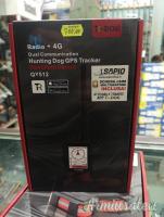 KIT PALMARE E COLLARE TR DOG SAPIO QY512/R60