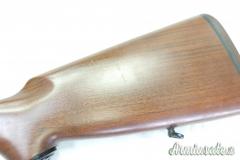 Beretta RS 202 12