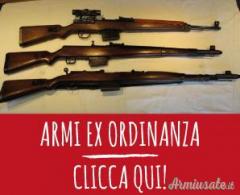 Ex ordinanze libro