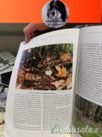 Le mie beccacce di Chizzola