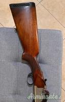Franchi diamond 12