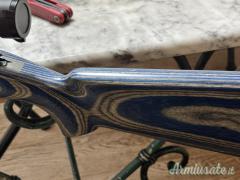 1813 super match  .22 Long Rifle
