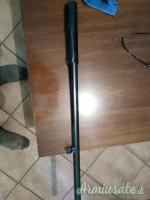 Canna saint etienne cal 12 Canna saint etienne cal 12