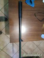 Canna saint etienne cal 12 Canna saint etienne cal 12