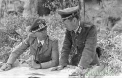 Fregio “divisionale” della “90.PANZERGRENADIER-DIVISION” cosiddetto “SARDINIENSCHILD” Fregio “divisionale” della “90.PANZERGRENADIER-DIVISION” cosiddetto “SARDINIENSCHILD”