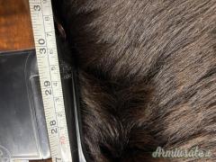 Franchi Dragon 12 da trap