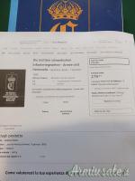 Die leichten schwedischen Infanteriegewehre - Armee und Heimwehr