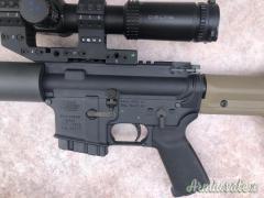 Carabina Eagle Arms M15 cal 223 rem canna 20 pollici ottica Delta Javelin 4.5-30x56 ottimo