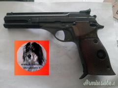 Beretta 76 .22 LR Long Rifle guance sinistra
