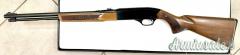 Winchester Mod.290 22lr