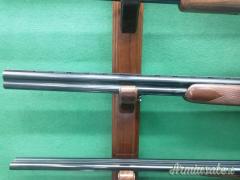 ...Altro | Non elencato  12