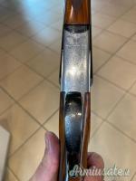 Rizzini BR 550