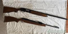 Beretta Semi automatico  12