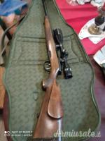 Steyr Mannlicher M .270 Winchester