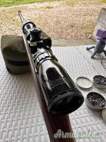 Bushnell ottica 3-9x32