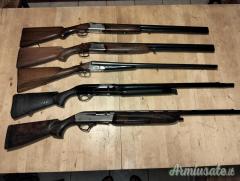 Beretta Vari 12