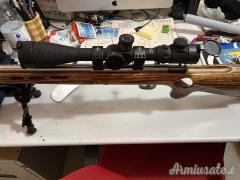 Savage Paja .22 Long Rifle