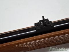CZ  550 .243 Winchester