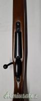 CZ  550 .243 Winchester