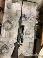 Remington 700 .270 Winchester