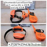 Sport dog SD-1875E