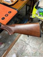 Beretta 304 12