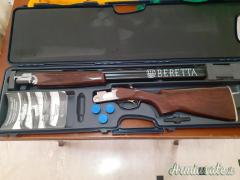 Beretta Onyx 12