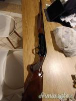 Beretta A301 20