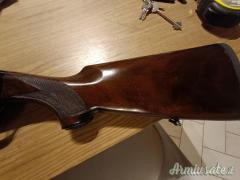 Beretta A301 20