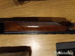 Beretta A301 20