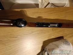 Beretta A301 20