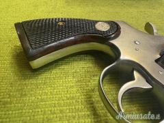 Colt Python Inox, canna 2,5