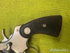 Colt Python Inox, canna 2,5