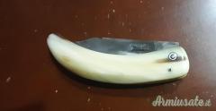 Coltello Curnicciollo Corso da pastore Ceccaldi