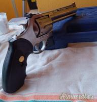 Colt Anaconda .44 Remington Magnum