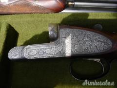 Bernardelli  12
