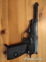 Benelli 73 .22 LR Long Rifle