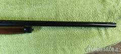 Benelli Crio 20